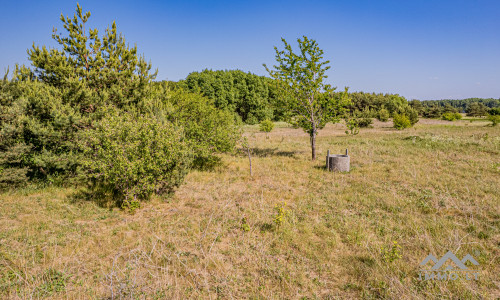 Investment Plot in Klaipėda