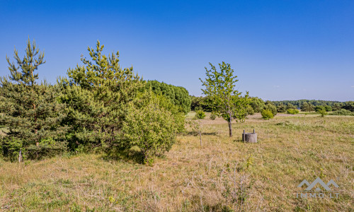 Investitionsgrundstück in Memel