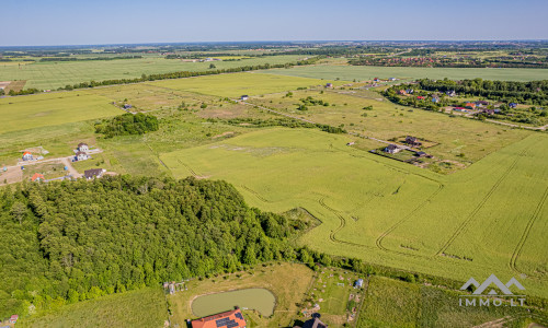 Terrain à bâtir unique avec forêt