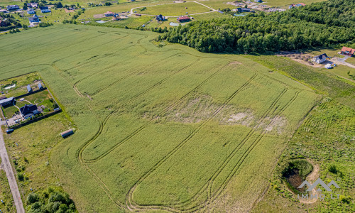 Terrain à bâtir unique avec forêt