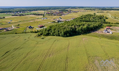 Terrain à bâtir unique avec forêt