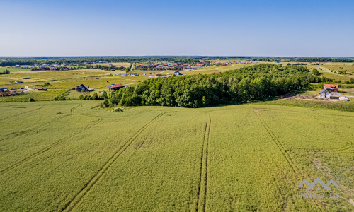 Terrain à bâtir unique avec forêt