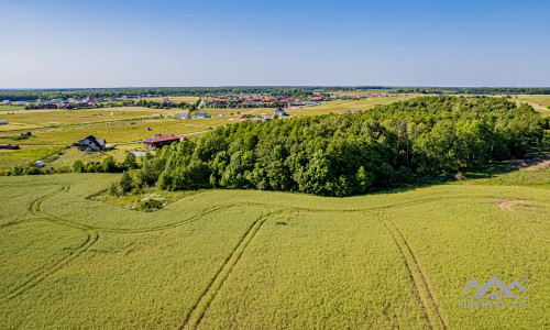 Einzigartiges Baugrundstück mit Wald