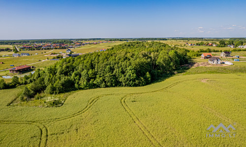 Terrain à bâtir unique avec forêt