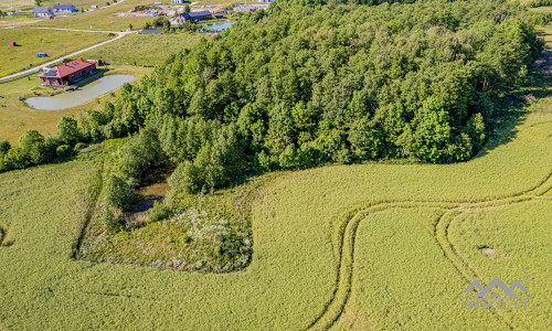 Unique Building Plot With Forest