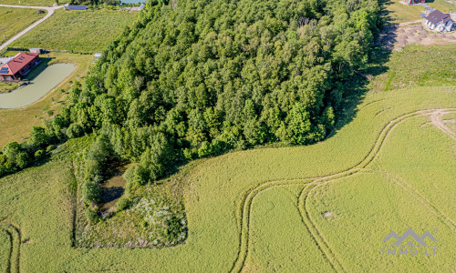 Terrain à bâtir unique avec forêt