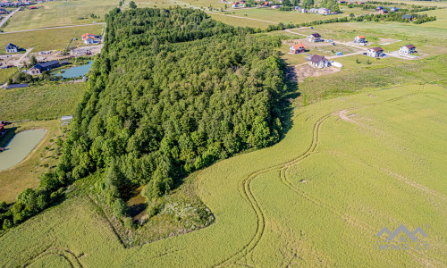 Terrain à bâtir unique avec forêt