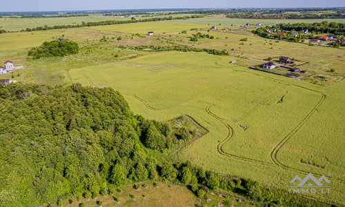 Unique Building Plot With Forest