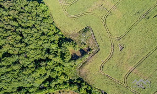 Terrain à bâtir unique avec forêt