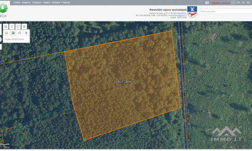 Forest Plots in Panevėžys District