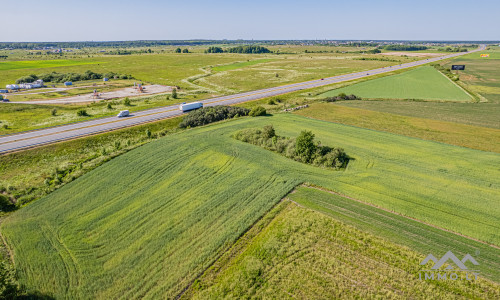 Terrain commercial près de Palanga