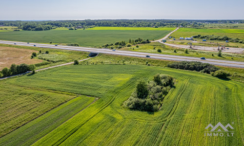 Terrain commercial près de Palanga