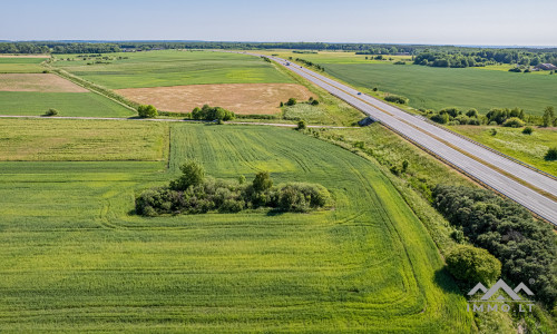 Terrain commercial près de Palanga