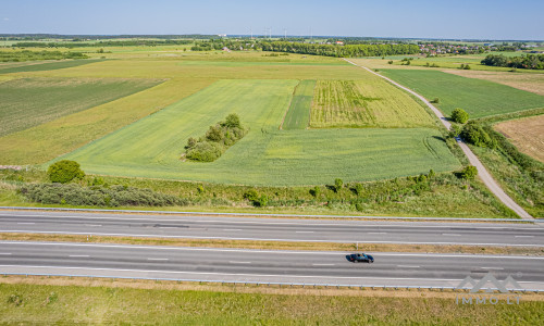 Terrain commercial près de Palanga