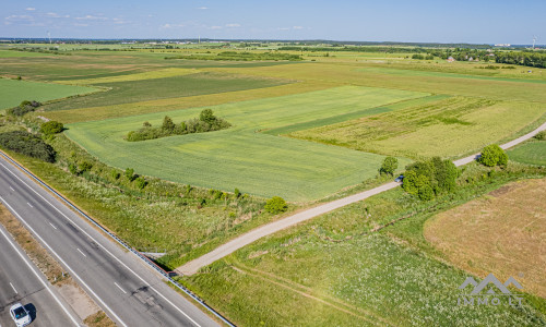 Terrain commercial près de Palanga