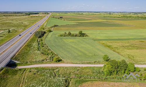 Terrain commercial près de Palanga