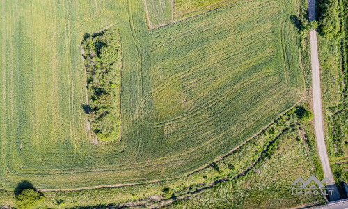 Terrain commercial près de Palanga