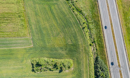 Terrain commercial près de Palanga