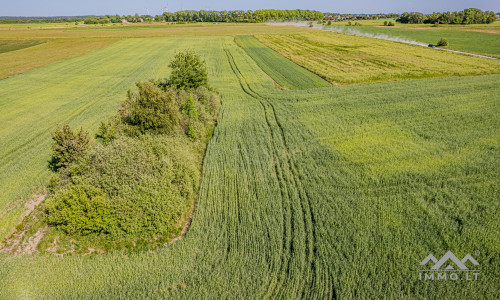 Terrain commercial près de Palanga