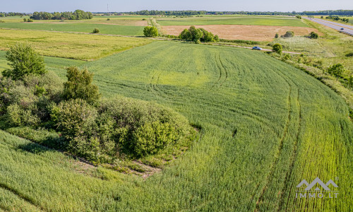 Terrain commercial près de Palanga