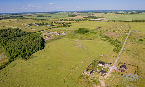 Construction Plots Near the Forest and the Sea