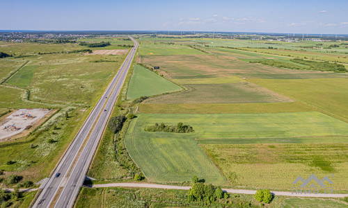 Commercial Land Plot Near Palanga