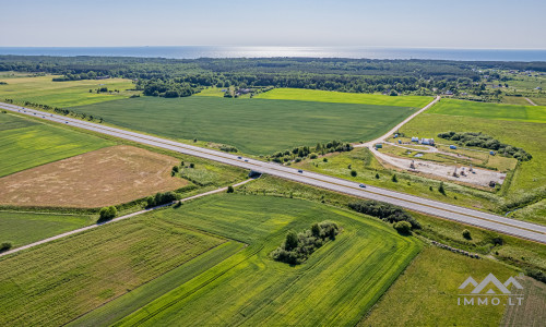 Terrain commercial près de Palanga