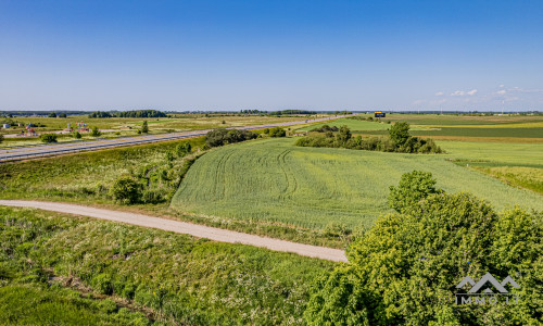 Terrain commercial près de Palanga