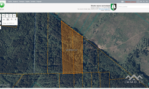 Forest Plots in Šilutė District